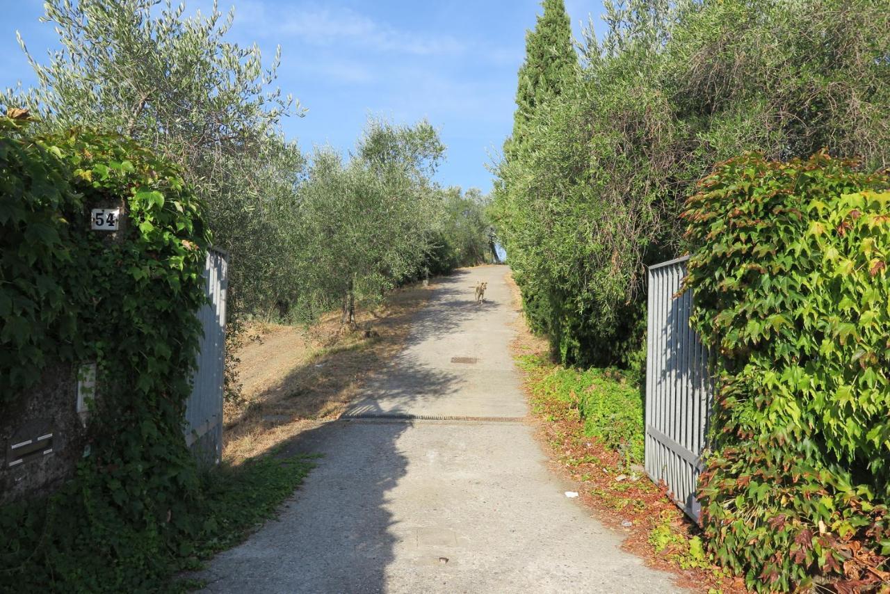 Banks 1 Vezzano Ligure Exterior foto